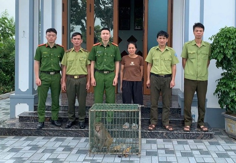 Cơ quan chức năng tiếp nhận cá thể khỉ mốc quý hiếm. Ảnh: Thanh Niên
