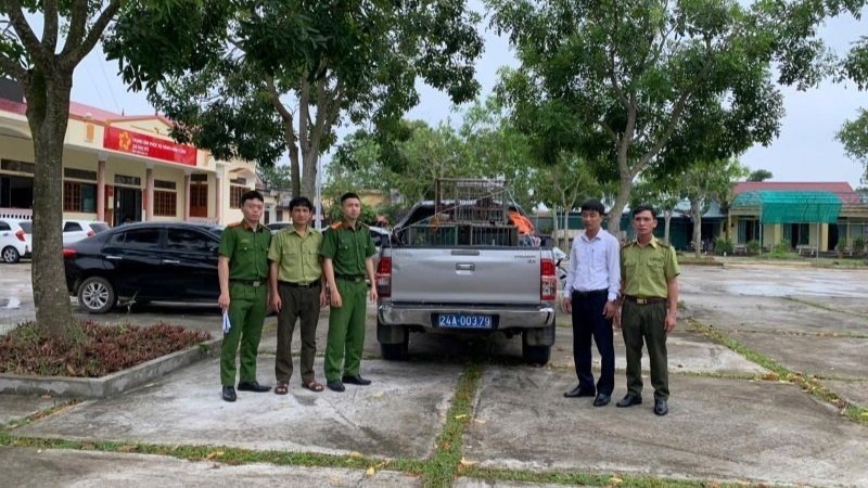 Buổi giao nhận cá thể khỉ mốc cho Trung tâm Du lịch và bảo tồn sinh vật Hoàng Liên chăm sóc, bảo vệ trước khi thả về môi trường tự nhiên. Ảnh:  Nhân dân
