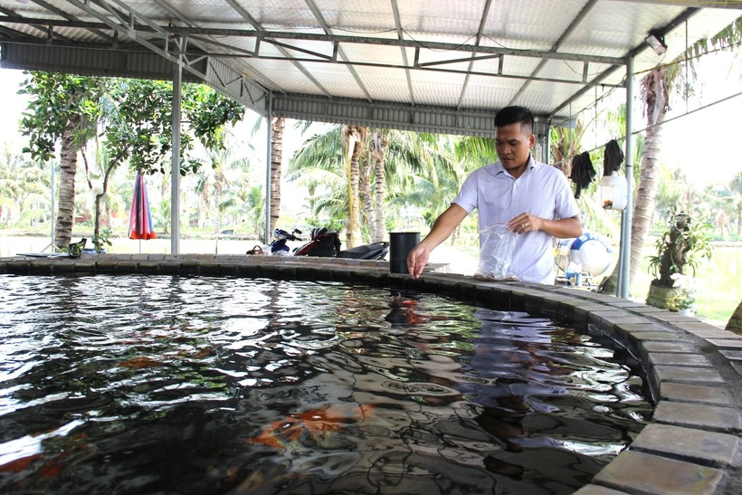 Anh Quân bên bể cá Koi. Ảnh: Dân Việt