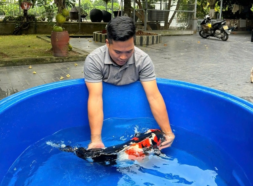 Anh Vũ Văn Quân, một nông dân thế hệ 8X, đã viết nên câu chuyện khởi nghiệp đầy ấn tượng từ trang trại cá Koi. Ảnh: Nông nghiệp & Môi trường
