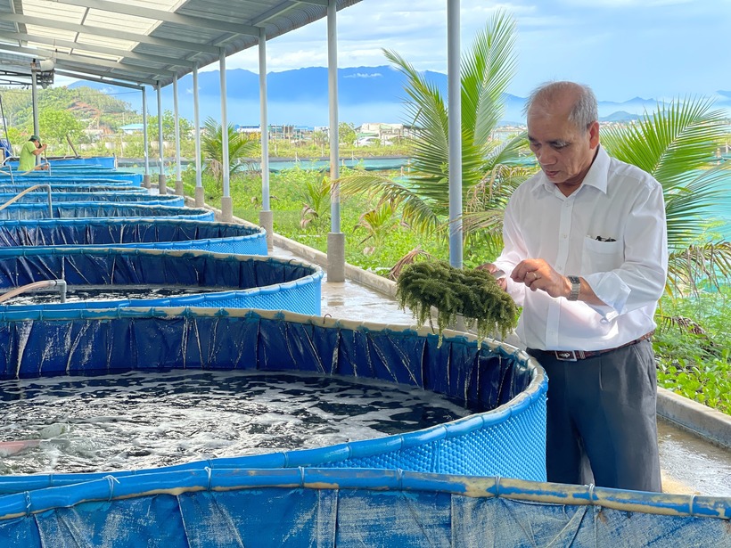 Kỹ sư Lê Bền. Ảnh: Báo Khánh Hòa