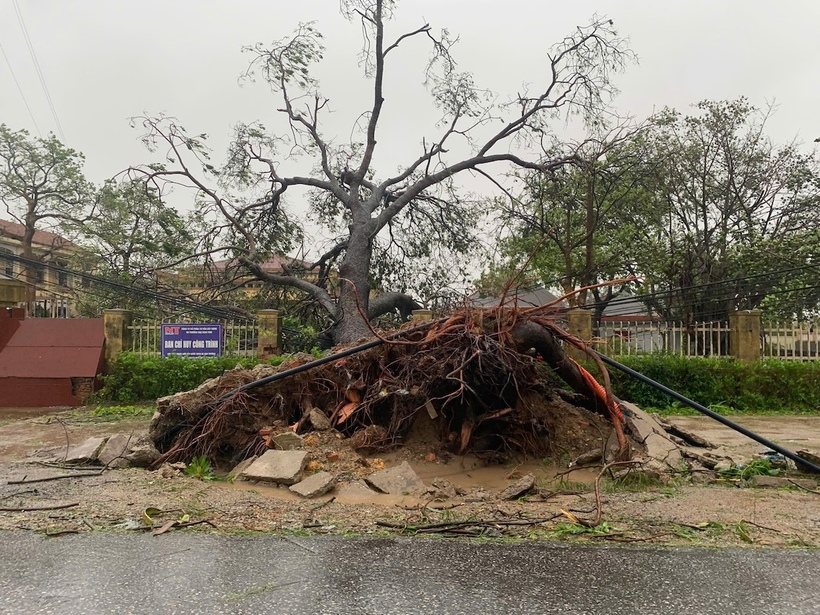 Dự báo vào khoảng 10h ngày 29/9, bão sẽ tiếp tục suy yếu thành áp thấp nhiệt đới, sau đó tiến sâu vào đất liền và tan dần thành vùng áp thấp