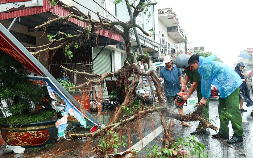 Bão số 10 và mưa lũ, sạt lở, dông lốc đã khiến 19 người chết, hàng chục người bị thương