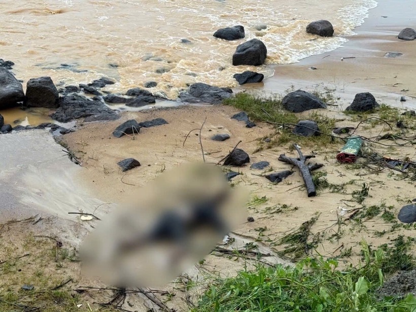 Thi thể không nguyên vẹn trôi dạt vào bờ biển Cửa Tùng. Ảnh: Tiền Phong.