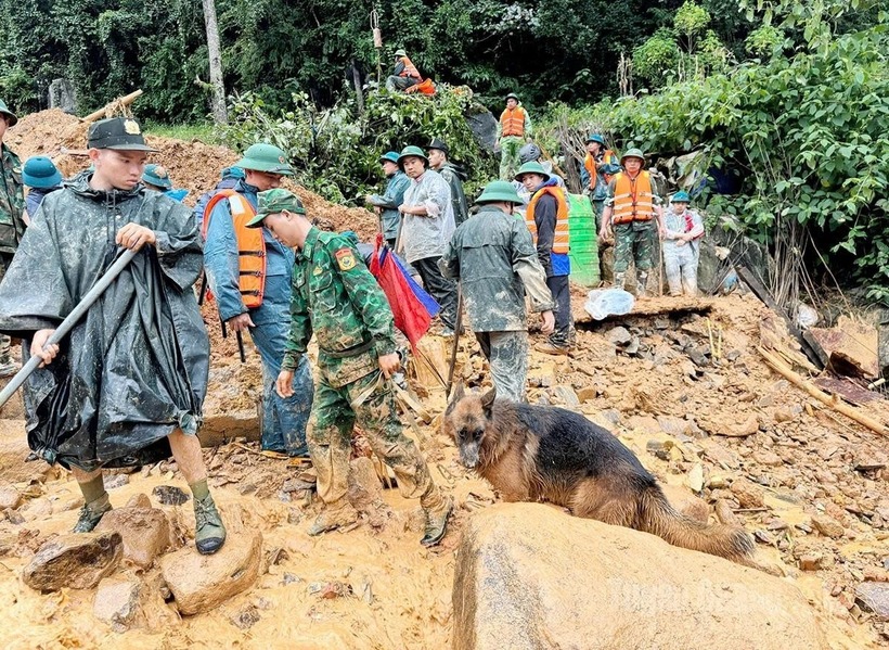 Lực lượng chức năng sử dụng chó nghiệp vụ để tìm kiếm các nạn nhân mất tích. Ảnh: Báo Tuyên Quang