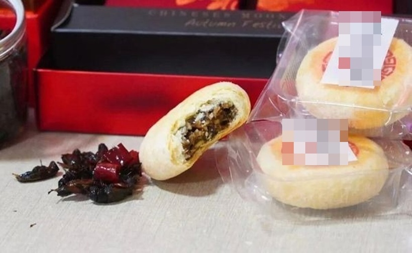 Bánh Trung thu nhân dế gây sốt ở Trung Quốc. Ảnh: Sina.