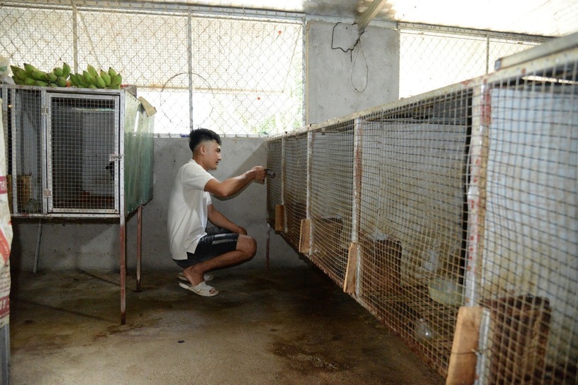 Anh Sơn tại trang trại nuôi chồn. Ảnh: Tiền phong