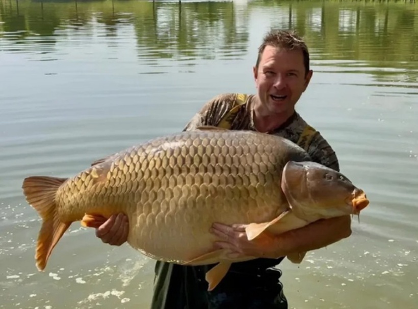 Con cá chép mà ông Knock câu được nặng tới 47,8 kg, chính thức phá vỡ kỷ lục thế giới trước đó (47,4 kg) do cần thủ Kacper Stepien thiết lập vào tháng 9 năm ngoái.