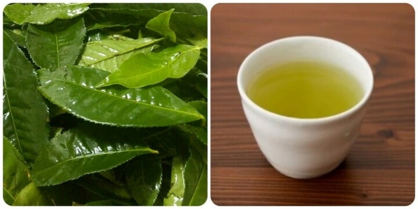 Khi nào uống nước chè xanh sẽ hỗ trợ thải độc gan hiệu quả? - 1