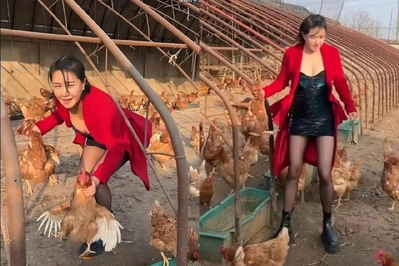 Trương Noãn Nhã thường xuyên chia sẻ về cuộc sống giản dị nơi thôn quê. Ảnh: QQ.