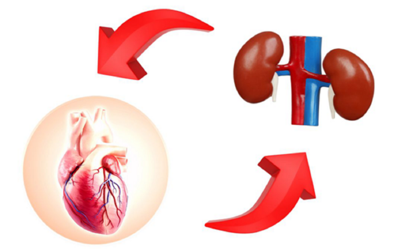 Suy thận độ 2 có thể gây biến chứng tim mạch