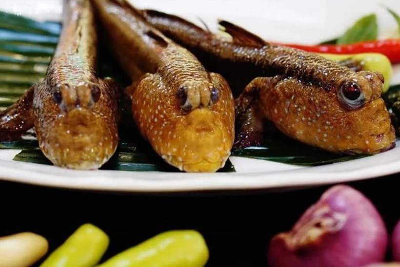 Món ăn được xem là "cực phẩm" và được săn đón nhiều nhất chính là cá thòi lòi nướng than.