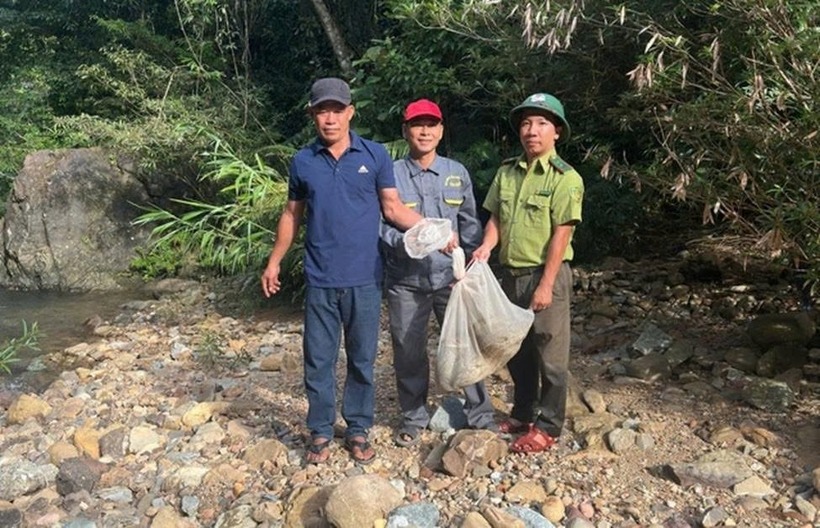 Người dân cùng lực lượng chức năng tiến hành thả trăn gấm về rừng. (Ảnh: Công lý)