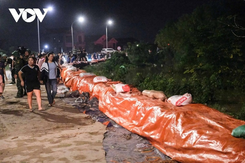 Dọc tuyến đê Đẩu Hàn đã được gia cố.