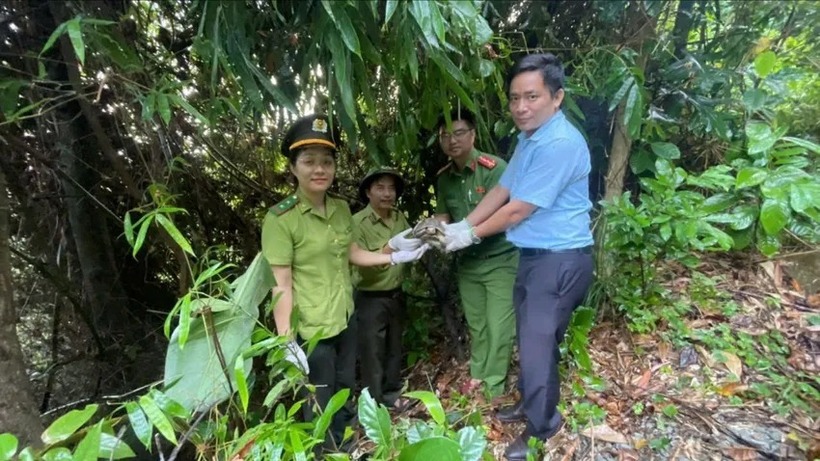 Ông Cường bàn giao cá thể rùa núi vàng quý hiếm cho lực lượng chức năng. Ảnh: PLO.