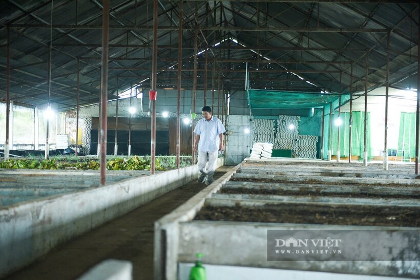 Bên trong khu trang trại nuôi trùn quế, ruồi lính đen của gia đình anh Lê Ngọc Thống. Ảnh: Dân Việt