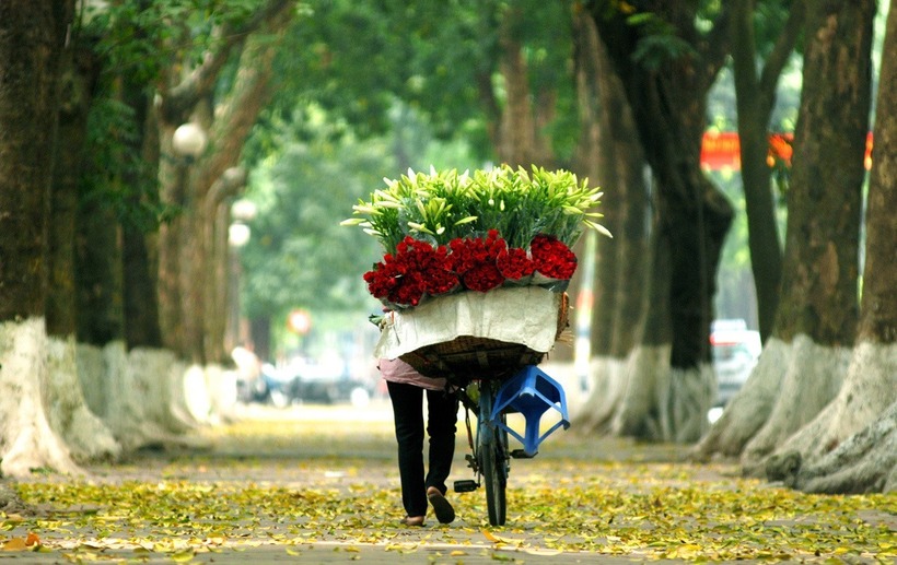 Ảnh minh hoạ.