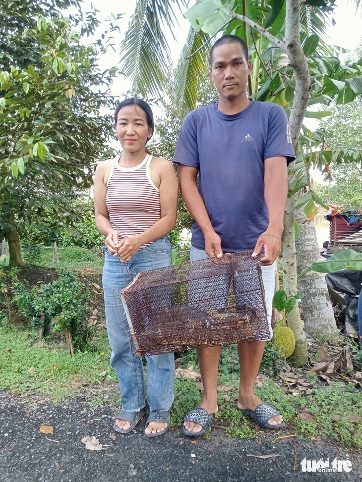 Kỳ đà hoa là loài động vật hoang dã thuộc nhóm IIB theo Nghị định 84/2021. Ảnh: Tuổi trẻ Online