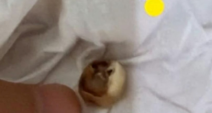 Người phụ nữ phát hiện một chiếc răng người trong chiếc bánh Trung thu nhân thịt. Ảnh: SCMP/Douyin.