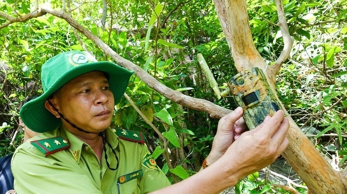 Ông Lê Quốc Hổ - cán bộ Chi cục Kiểm lâm tỉnh An Giang - đặt bẫy ảnh để ghi nhận các con vật có bộ lông trắng trên có phải là khỉ không. (Ảnh: Tuổi trẻ)