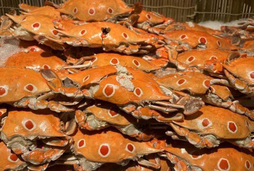 Ăn hải sản sống hoặc chế biến không kỹ có thể gây hại đến sức khỏe. Ảnh minh họa.