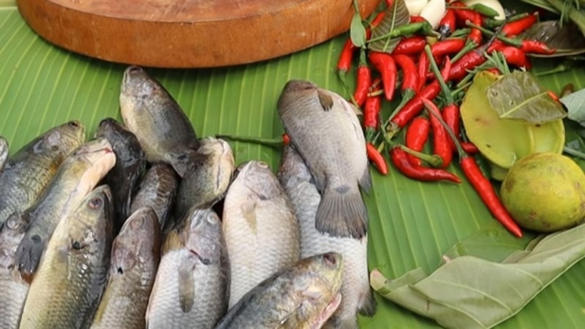 Nguyên liệu cần có.