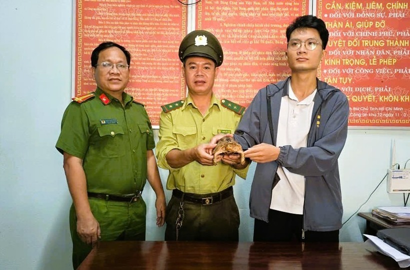 Người dân Đà Nẵng giao nộp rùa hộp trán vàng quý hiếm cho cơ quan chức năng. (Ảnh: Công an phường Điện Bàn Đông)