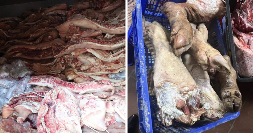 Hàng chục tấn thịt lợn bẩn không đảm bảo vệ sinh an toàn thực phẩm của lò giết mổ lợn của ông Phan Văn Phòng chuẩn bị được tuồn ra thị trường.