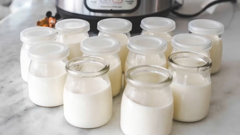 Sữa chua là một món ăn vặt không chỉ ngon miệng mà còn mang lại nhiều lợi ích tuyệt vời cho sức khỏe, đặc biệt là hệ tiêu hóa và làn da.