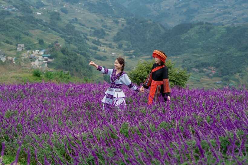 Lạc vào “miền cổ tích” trên đỉnh Fansipan mùa mây - 6