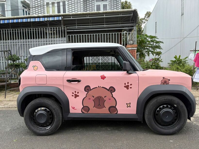 Anh Sang ghi nhận chi phí sử dụng VF 3 rất tiết kiệm.