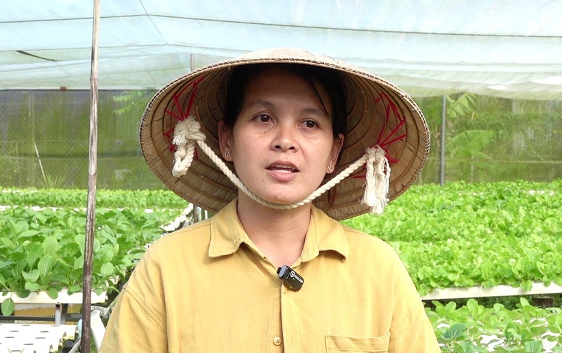 Chị Nhung có thu nhập ổn định nhờ trồng rau sạch. Ảnh: VietNamnet