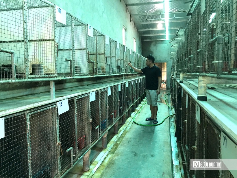 Chuồng được phân chia thành các khu riêng biệt: khu nuôi cá thể, khu nuôi các cặp chồn sinh sản, khu nuôi chồn mới đẻ…Chuồng nuôi chồn hương thiết kế dạng lồng sắt, hoặc gỗ, cao khoảng 70cm, rộng khoảng 1m2 tùy vào số lượng nuôi nhốt. Lồng sắt được bố trí trên giá đỡ cách nền từ 0,3 - 0,5m để thông thoáng, tránh ẩm thấp và tiện vệ sinh chuồng trại. Mỗi chuồng đều được đánh số và ghi chép vào sổ để tiện theo dõi.