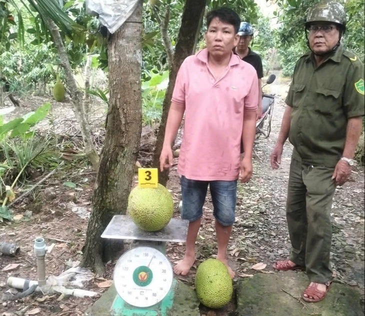 Bị can Lê Hoàng Lợi cùng tang vật 2 trái mít. Ảnh: Tuổi Trẻ