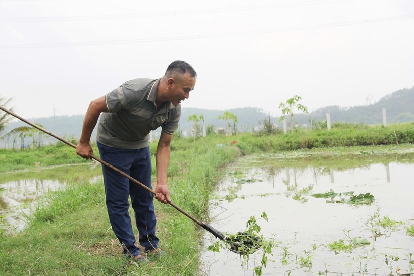 Anh Bảo bên vựa ao nuôi ốc bươu đen. Ảnh: VietNamnet