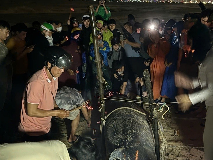 Người dân sống gần khu vực nhanh chóng xem xét, thắp hương theo tục lệ vùng biển. Ảnh: Tuổi Trẻ.