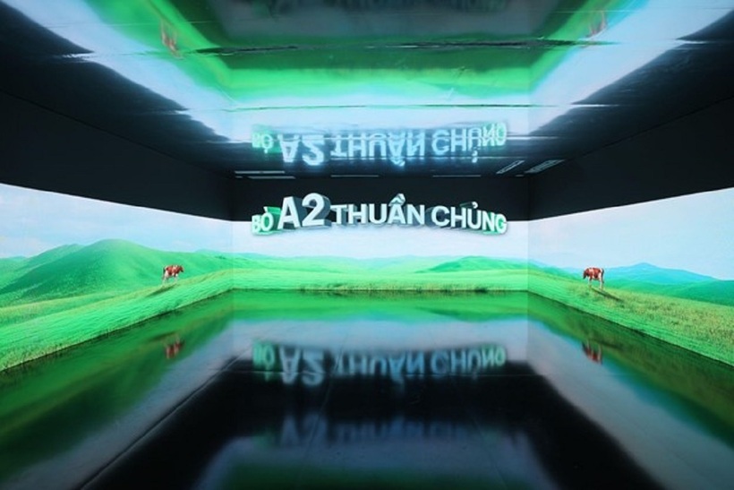 GippsNature Organic A2 được sử dụng nguồn sữa từ giống bò A2 thuần chủng, chăn thả tự nhiên tại “thủ phủ bò sữa” Gippsland (bang Victoria, Australia)