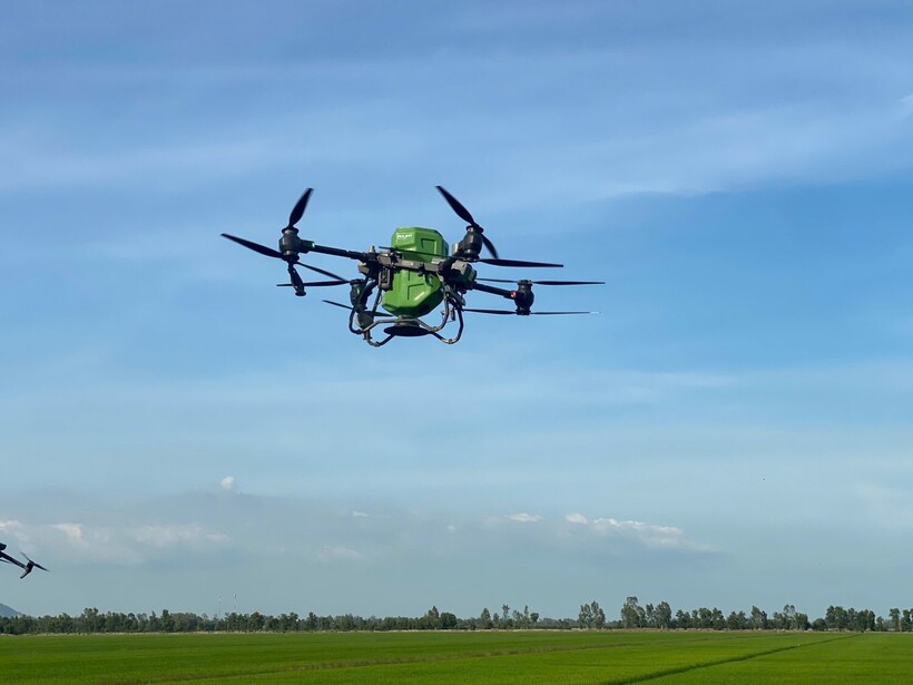 Hình ảnh Drone Phú Mỹ - một giải pháp canh tác hiện đại, khoa học hiện diện trên các cánh đồng