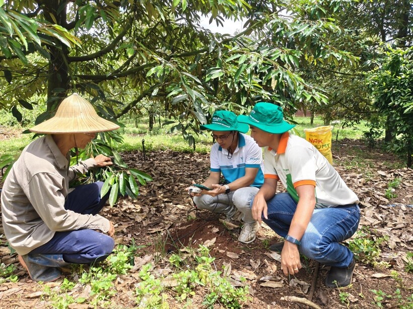 PVFCCo - Phú Mỹ sẽ cung cấp các thiết bị đo dinh dưỡng đất Enfarm F và tổ chức hướng dẫn sử dụng hoàn toàn miễn phí cho các khách hàng.