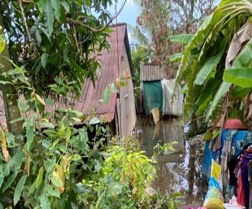 Khu vực nhà 2 mẹ con bị điện giật tử vong ở Đồng Tháp. (Ảnh: PLO)