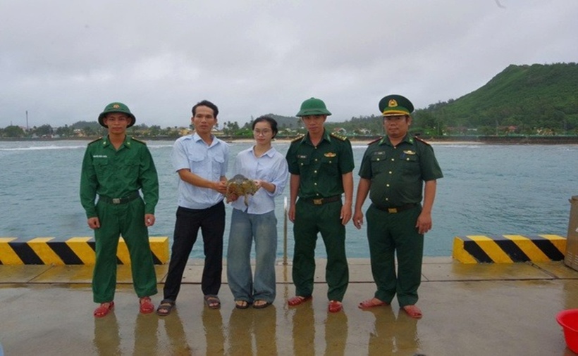 Thiếu nữ Lê Thị Tiền cùng lực lượng chức thả đồi mồi về biển. (Ảnh: Thanh niên)