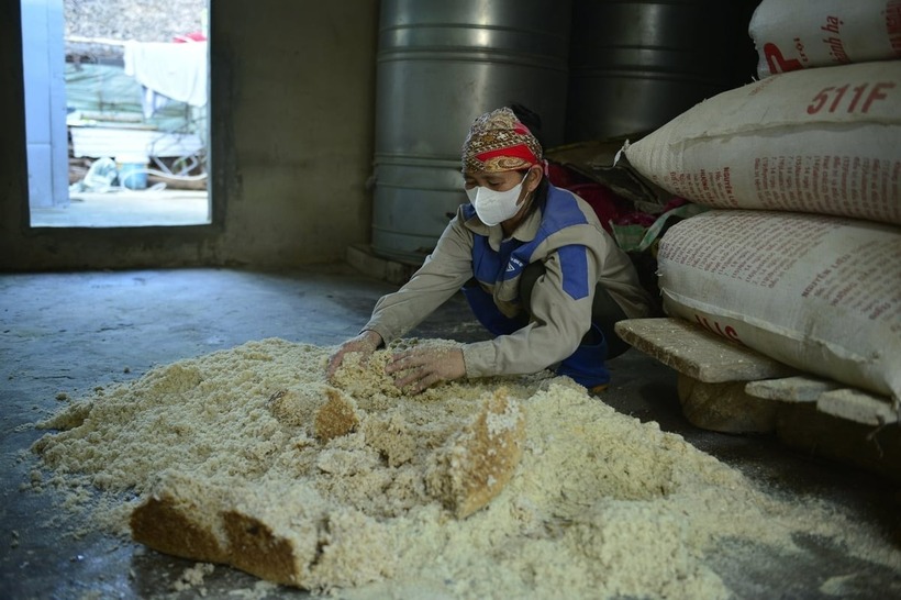 Thức ăn ưa thích của dúi là cơm trộn bột tre, bột ngô. Ảnh: Nông nghiệp & Môi trường