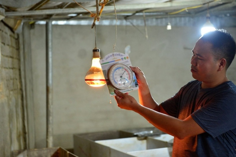 Anh Lâm lắp nhiệt kế theo dõi nhiệt độ và độ ẩm thường xuyên đảm bảo điều kiện cho dúi sinh trưởng, phát triển tốt. Ảnh: Nông nghiệp & Môi trường