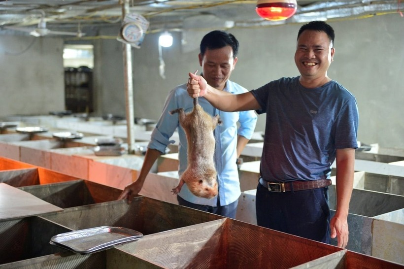 Anh Lâm (tay cầm con dúi) đã khởi nghiệp thành công từ mô hình nuôi dúi. Ảnh: Nông nghiệp & Môi trường