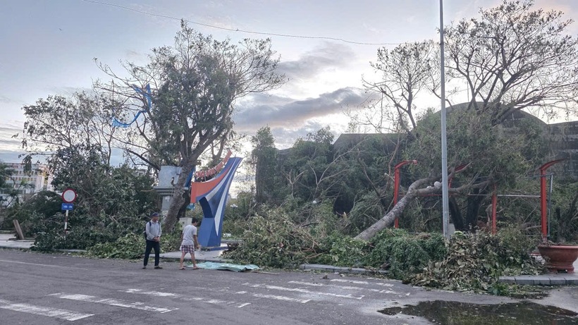 Cây xanh đổ la liệt.