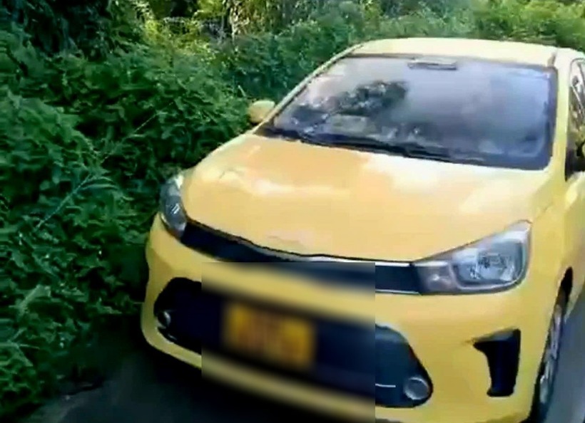 Thi thể người đàn ông được phát hiện tử vong trong tư thế treo cổ trên cây, bên cạnh là chiếc taxi của 1 hãng vận tải. (Ảnh: Dân Việt)