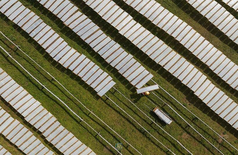 Nghề cao khô Vạn Linh (mì khô). NSNA Bùi Thuận.