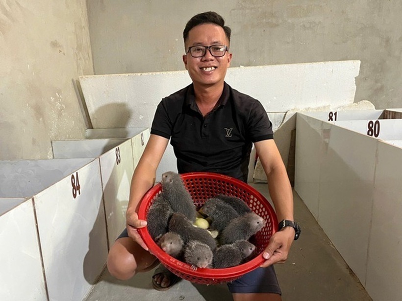 Anh Huỳnh Văn Hiếu bỏ phố về quê nuôi dúi. Ảnh: Thanh niên