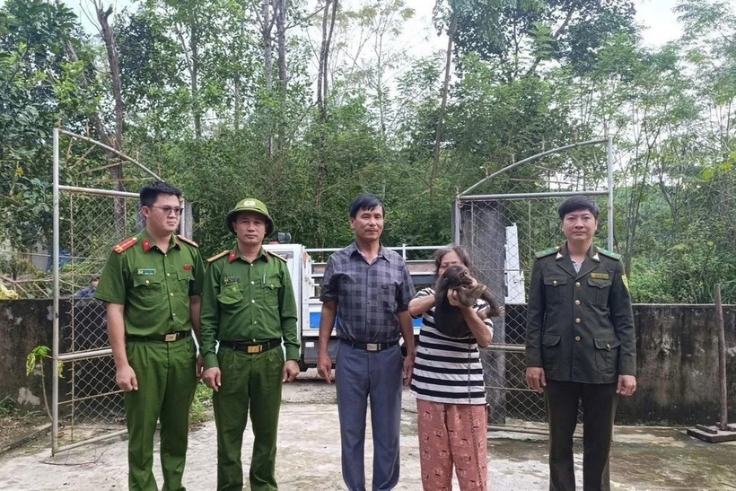 Người dân bàn giao hai cá thể khỉ cho cơ quan chức năng. Ảnh: Dân trí