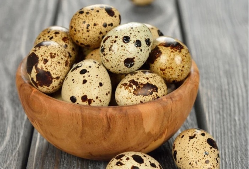 Trứng cút, dù có kích thước nhỏ bé, từ lâu đã được xem là một "siêu thực phẩm" trong ẩm thực của nhiều quốc gia, trong đó có Việt Nam